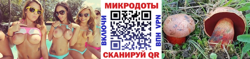 Псилоцибиновые грибы Psilocybe Карачев